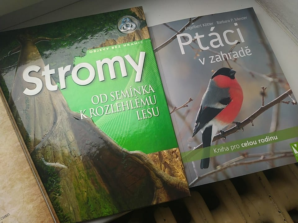 Poslední den školy v roce 2024