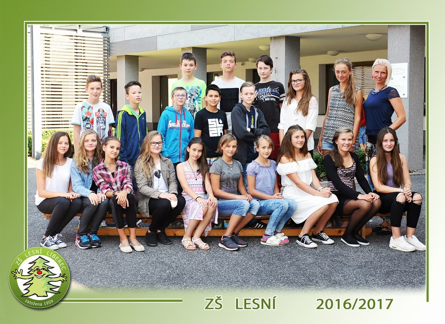 VII. B VII. B