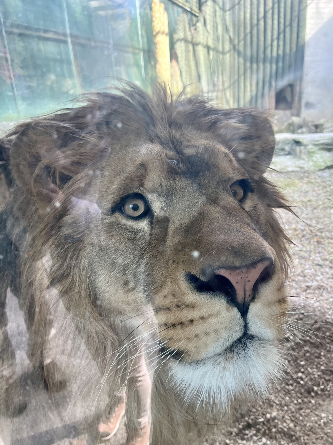 Reportážní foto - Prohlídka ZOO s programem 7 divů ZOO