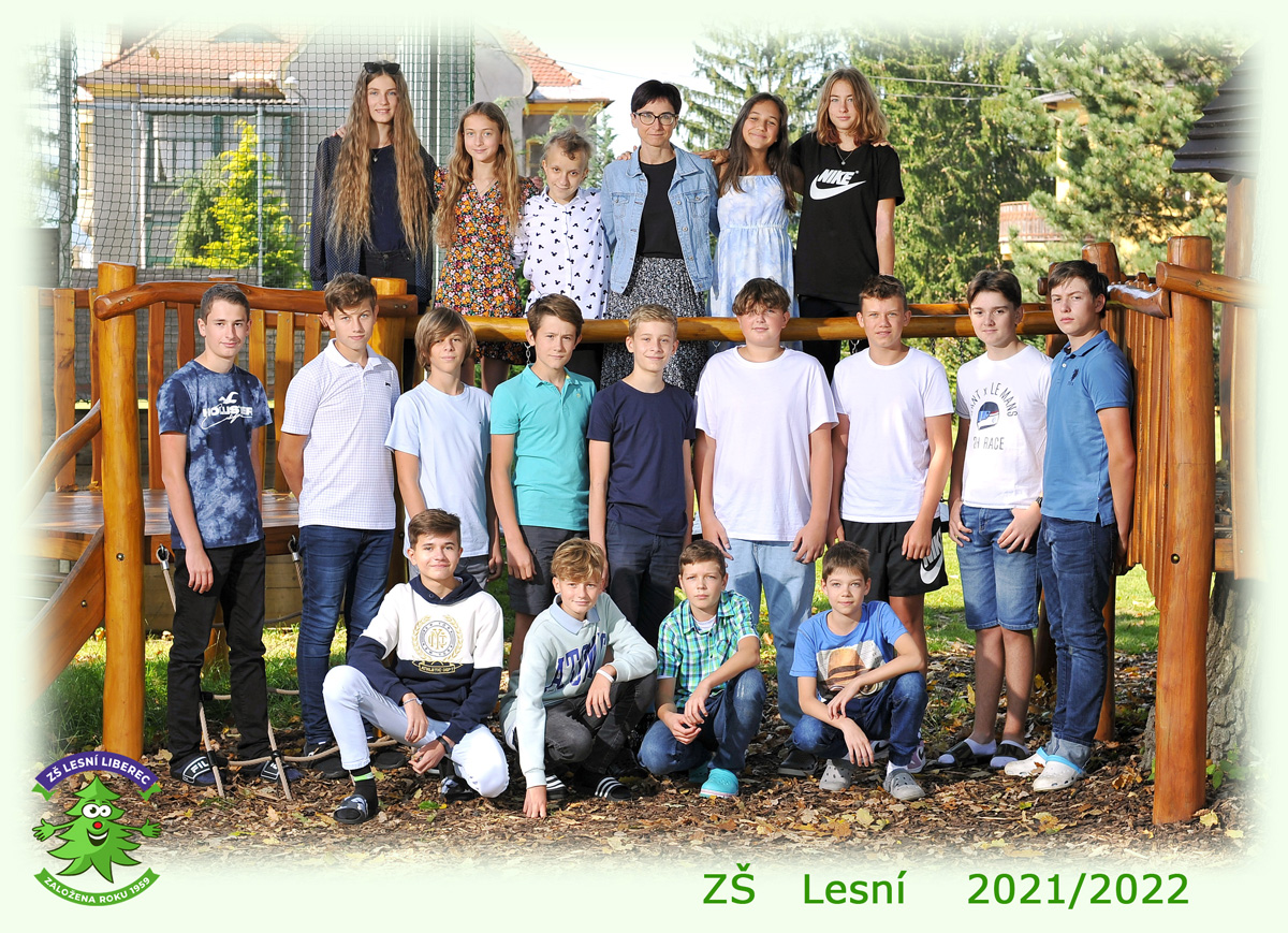 VIII.C VIII.C