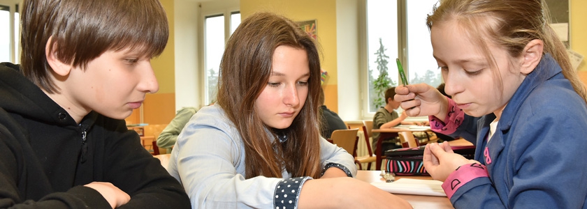 Podpora společného vzdělávání v pedagogické praxi Podpora společného vzdělávání v pedagogické praxi