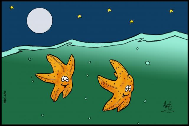 A Starfish Joke A Starfish Joke