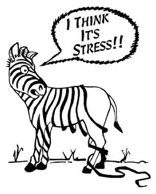 STRESSSSSSSSS!!!!!! STRESSSSSSSSS!!!!!!
